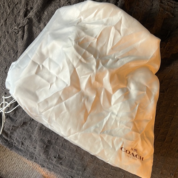 ✌🏼SOLD✌🏼 COACH Handbag Limited Edition Snake Skin & Suede Details - Picture 8 of 8